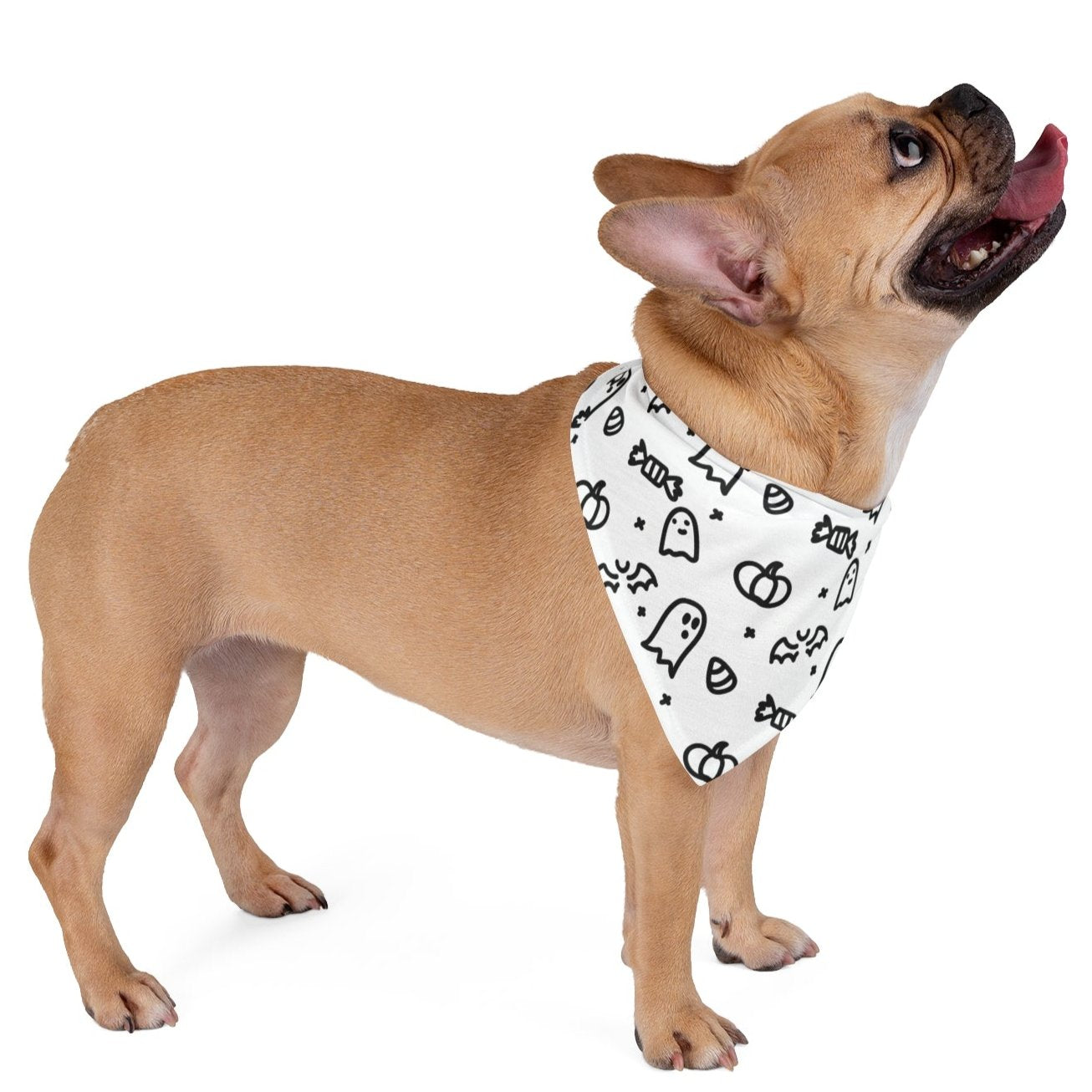 Halloween Pet Bandana