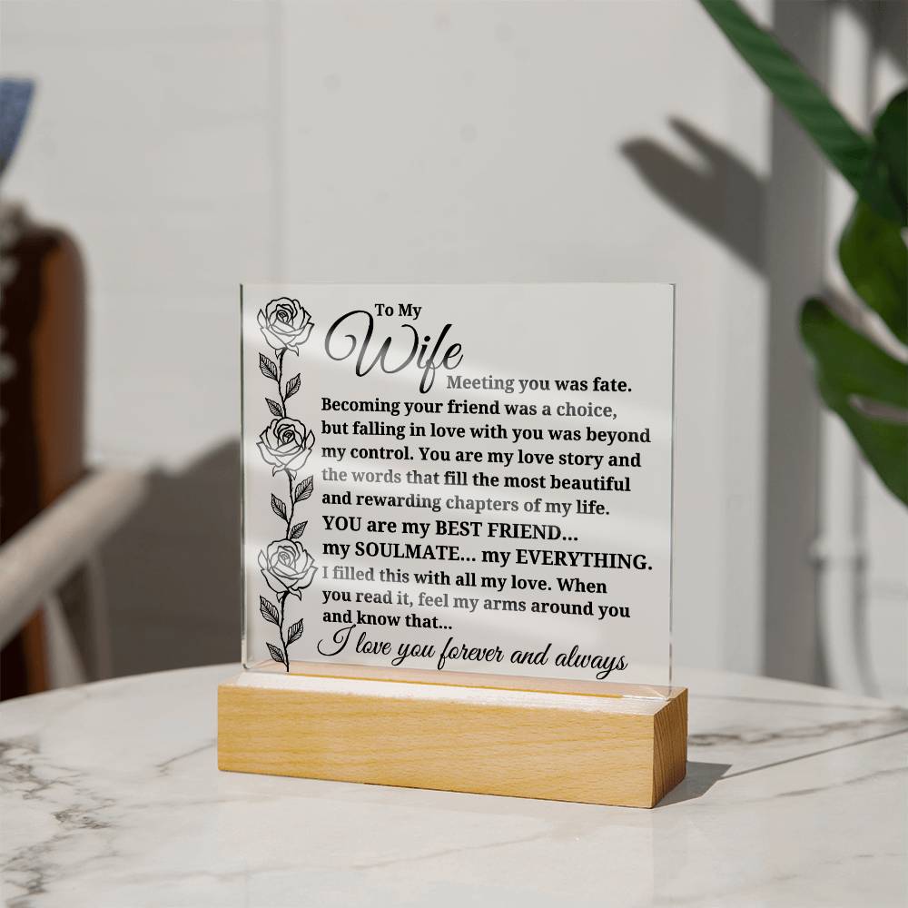 To My Wife "Meeting you was..." Acrylic Plaque With Lighted Base