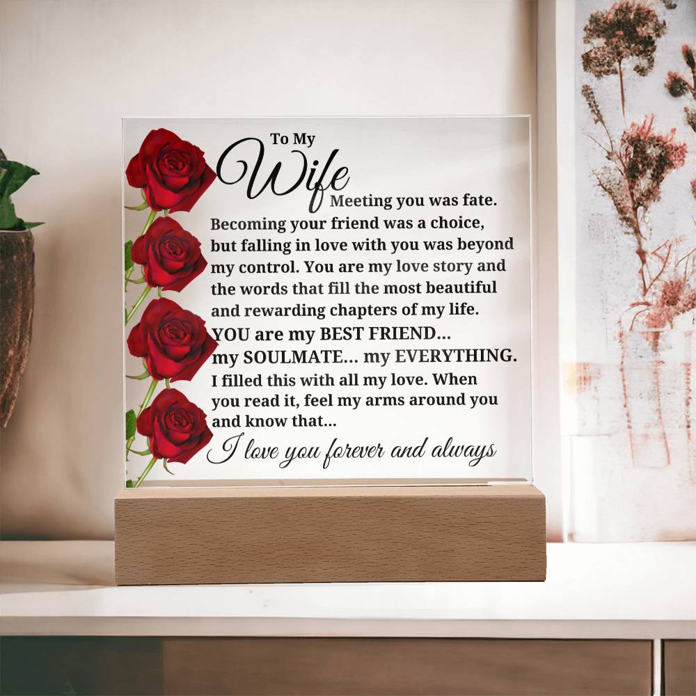 To My Wife "Meeting you was fate..." Acrylic Plaque With Lighted Base