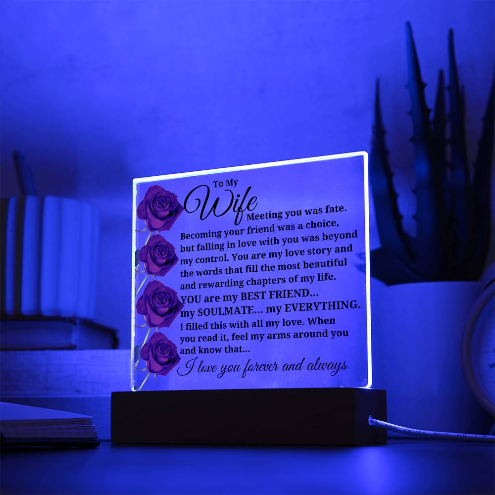 To My Wife "Meeting you was fate..." Acrylic Plaque With Lighted Base