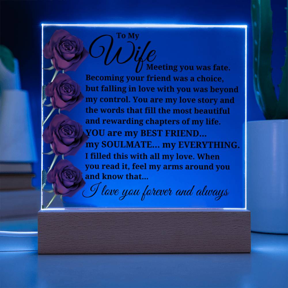 To My Wife "Meeting you was fate..." Acrylic Plaque With Lighted Base