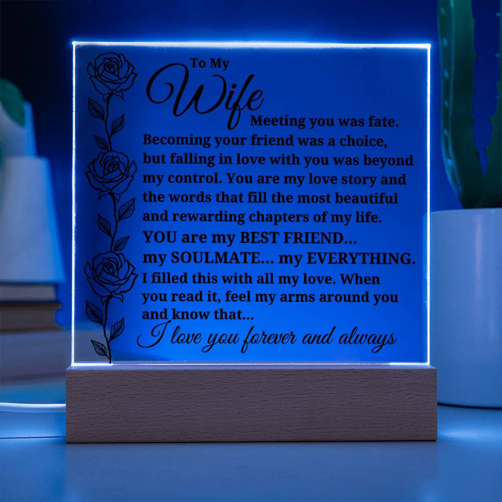To My Wife "Meeting you was..." Acrylic Plaque With Lighted Base