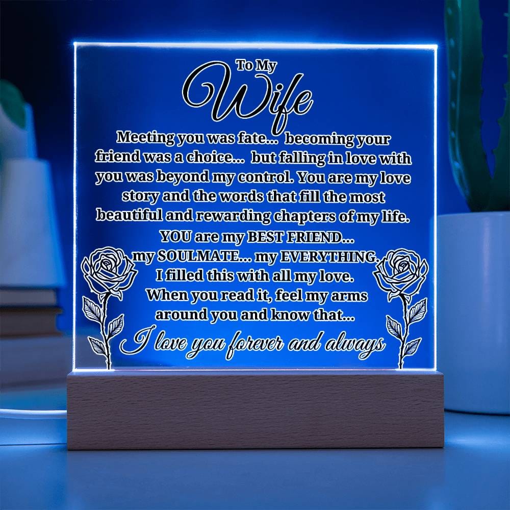 To My Wife "Meeting you was..." Acrylic Plaque With Lighted Base