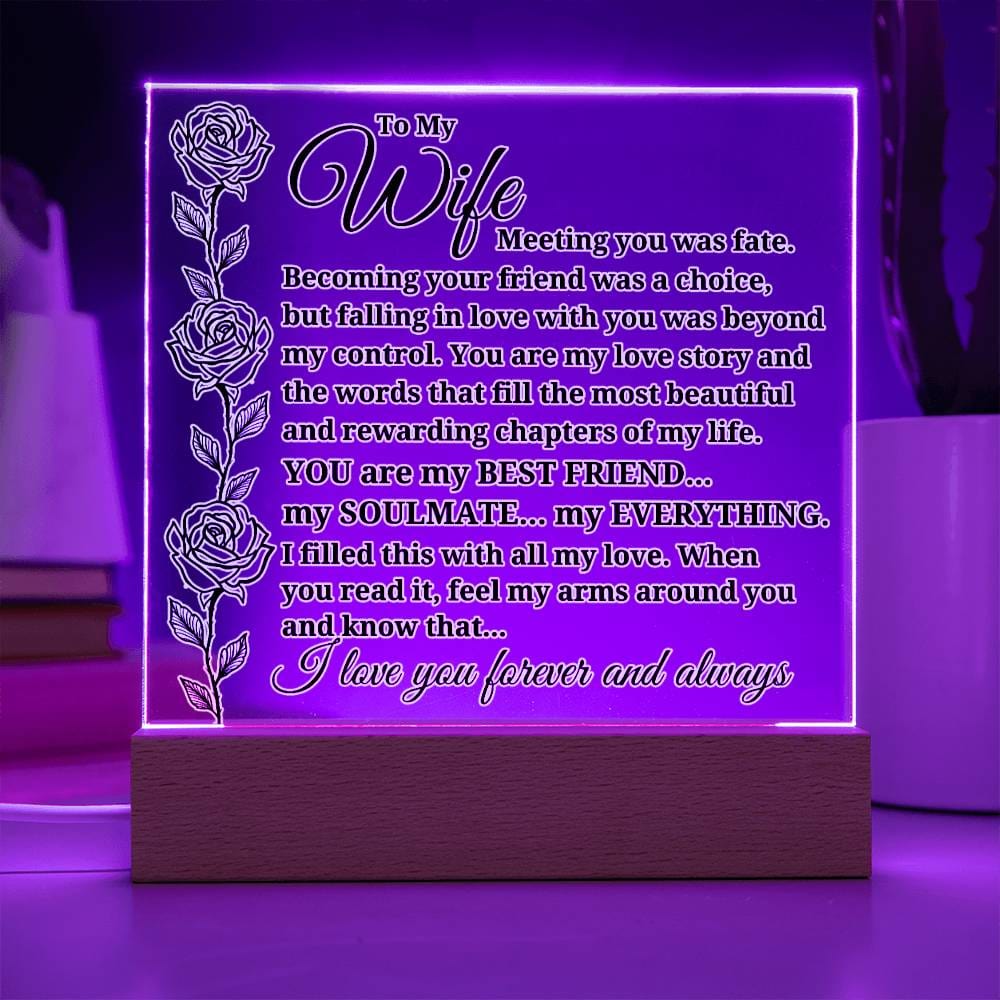 To My Wife "Meeting you was..." Acrylic Plaque With Lighted Base