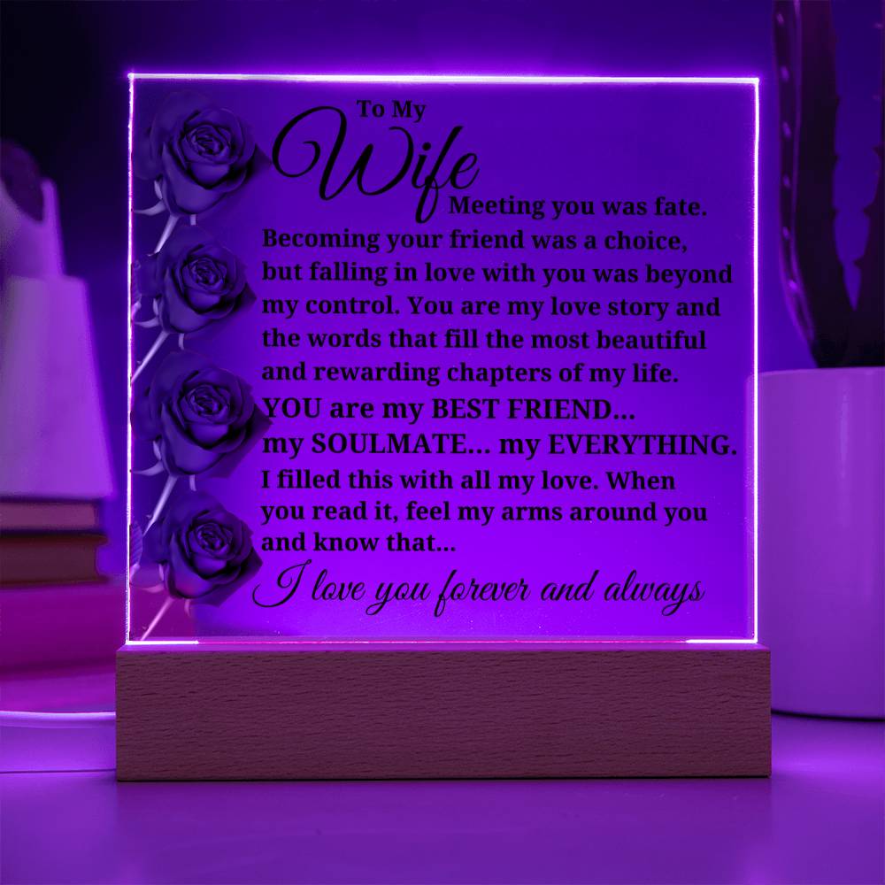 To My Wife "Meeting you was fate..." Acrylic Plaque With Lighted Base