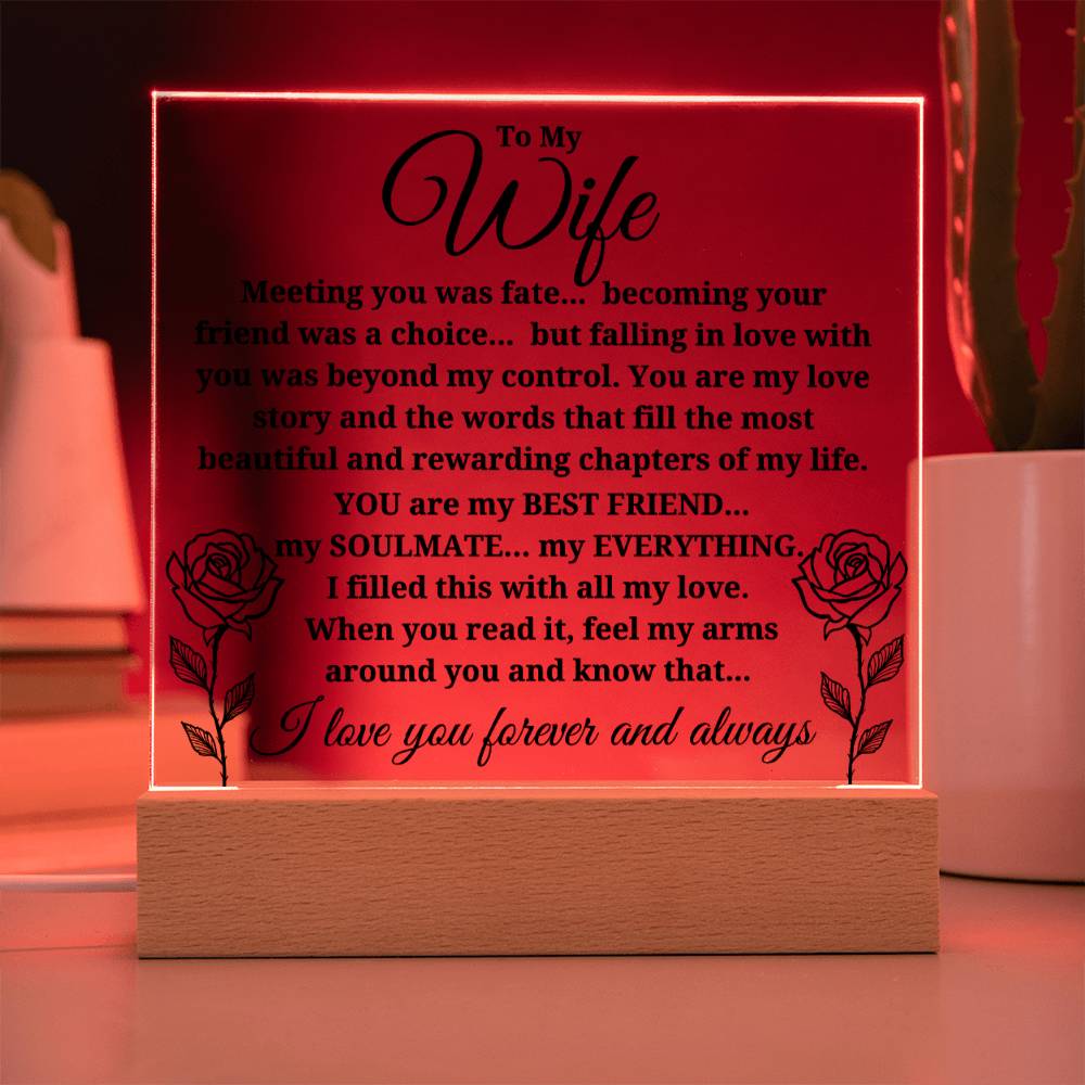 To My Wife "Meeting you was..." Acrylic Plaque With Lighted Base