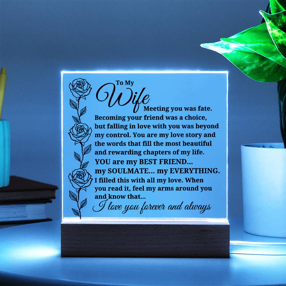 To My Wife "Meeting you was..." Acrylic Plaque With Lighted Base