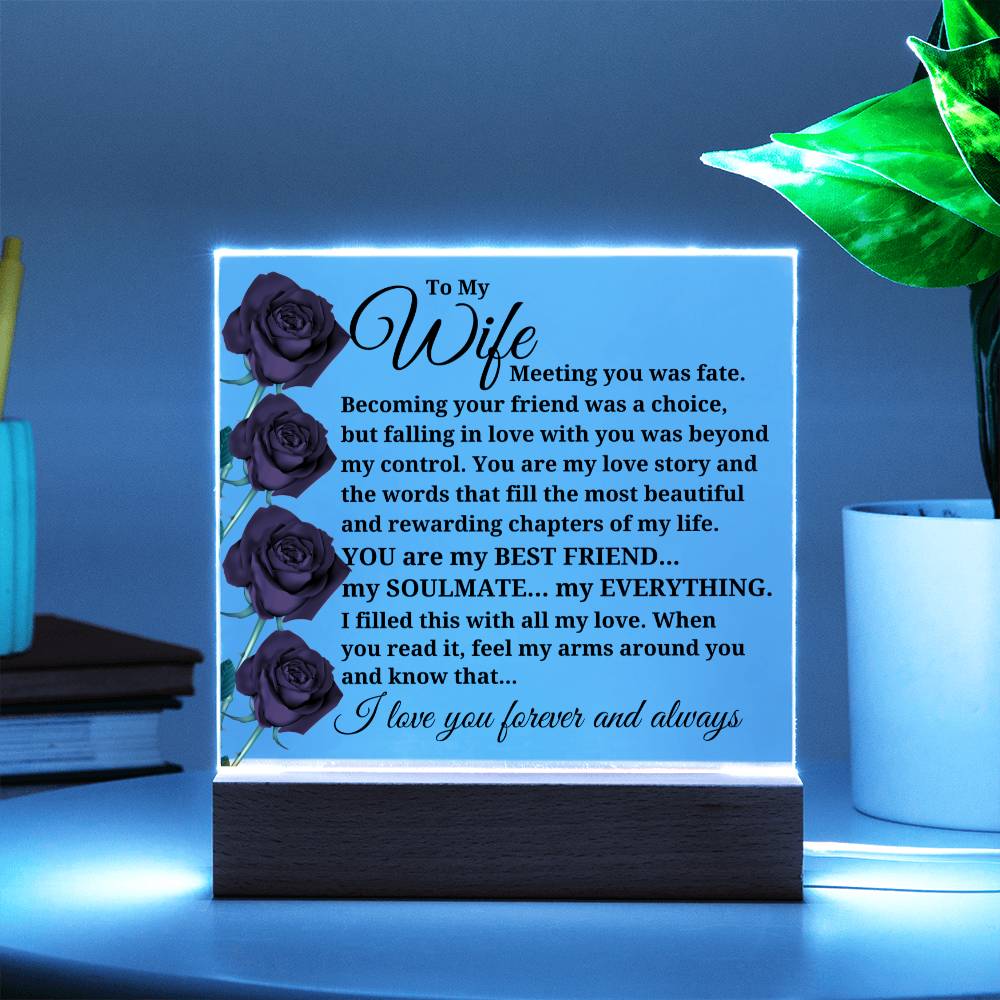 To My Wife "Meeting you was fate..." Acrylic Plaque With Lighted Base