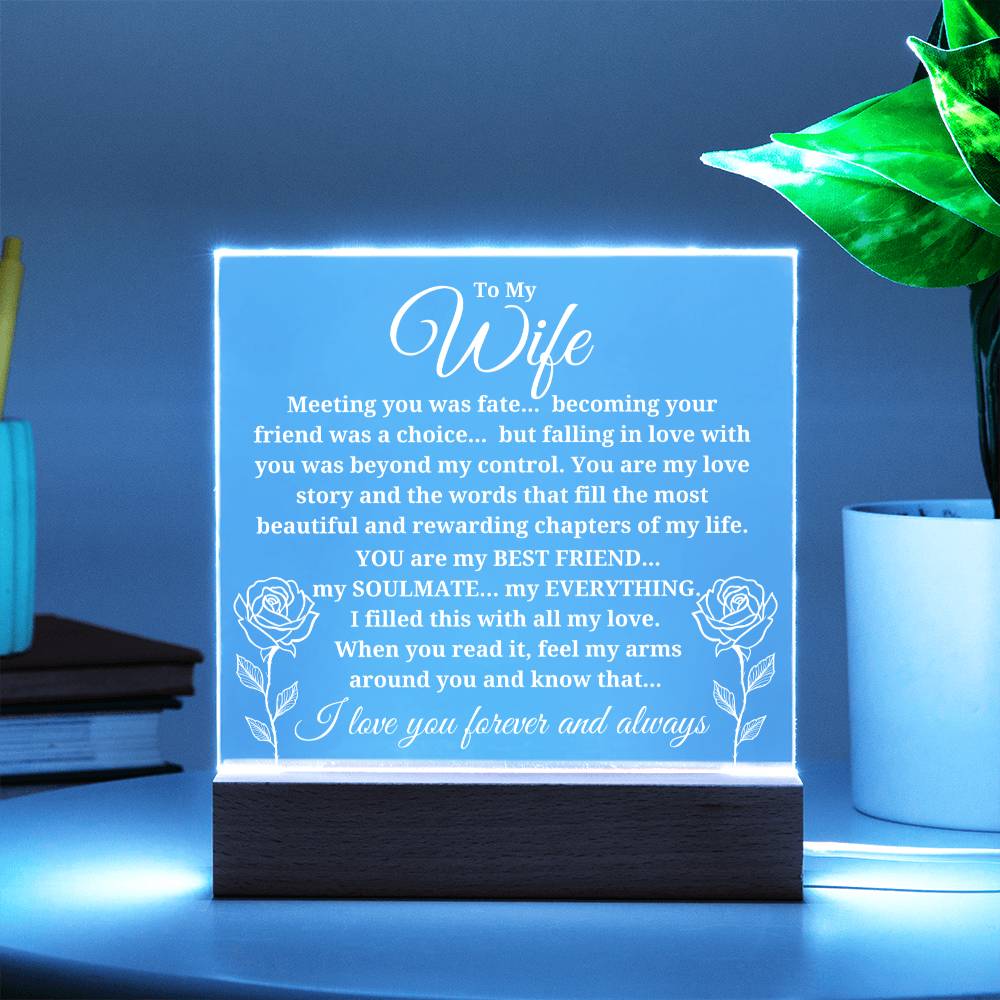 To My Wife "Meeting you was..." Acrylic Plaque With Lighted Base