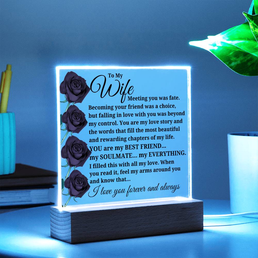To My Wife "Meeting you was fate..." Acrylic Plaque With Lighted Base
