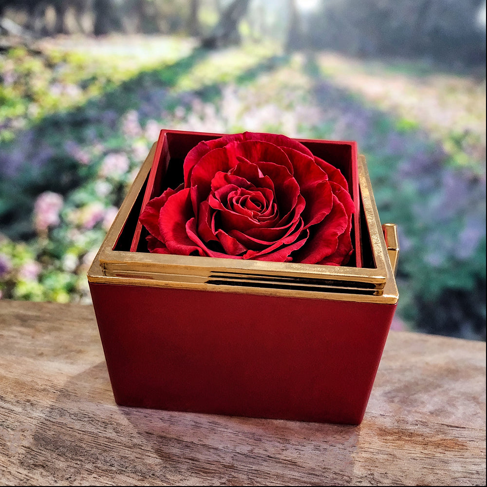 To My Wife "Meeting you was fate..." Love Knot Necklace in Rotating Rose Reveal Gift Box