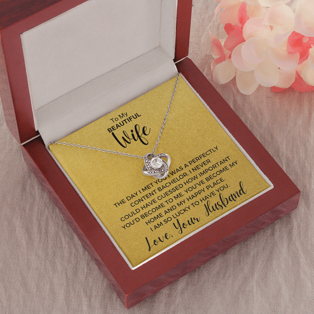 Gift to Wife - The Day I Met You... Love Knot 14K White Gold Over Stainless Steel Necklace