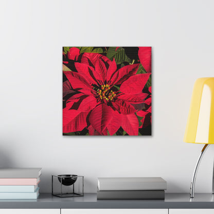 Christmas Poinsettia Canvas Gallery Wrap