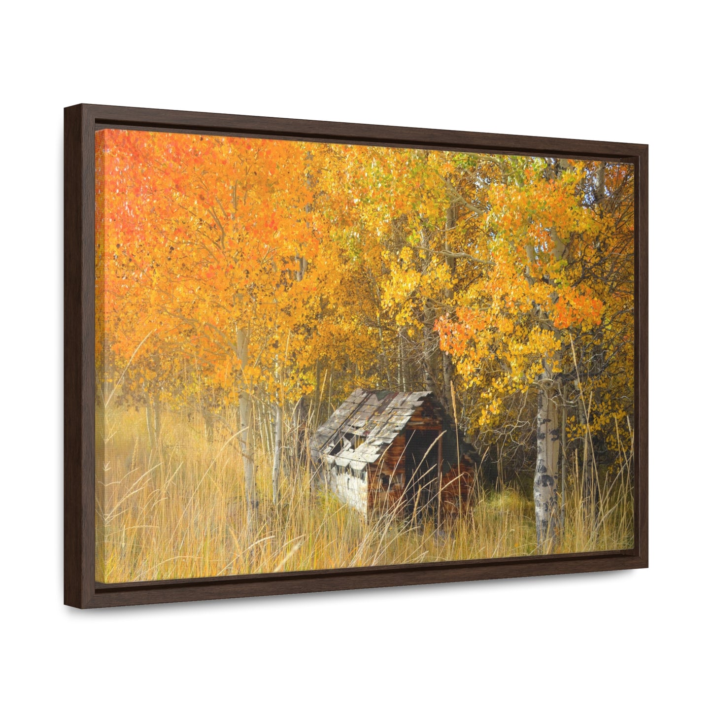 "Seasons Gone By" Autumn Colors Framed Gallery Wrap Canvas