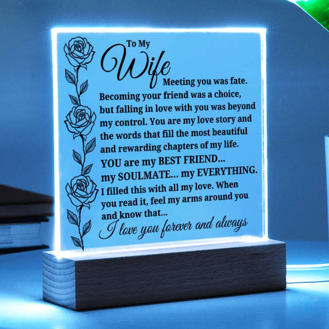 To My Wife "Meeting you was..." Acrylic Plaque