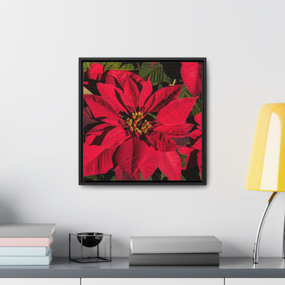 Christmas Poinsettia Gallery Canvas Wraps, Black Frame