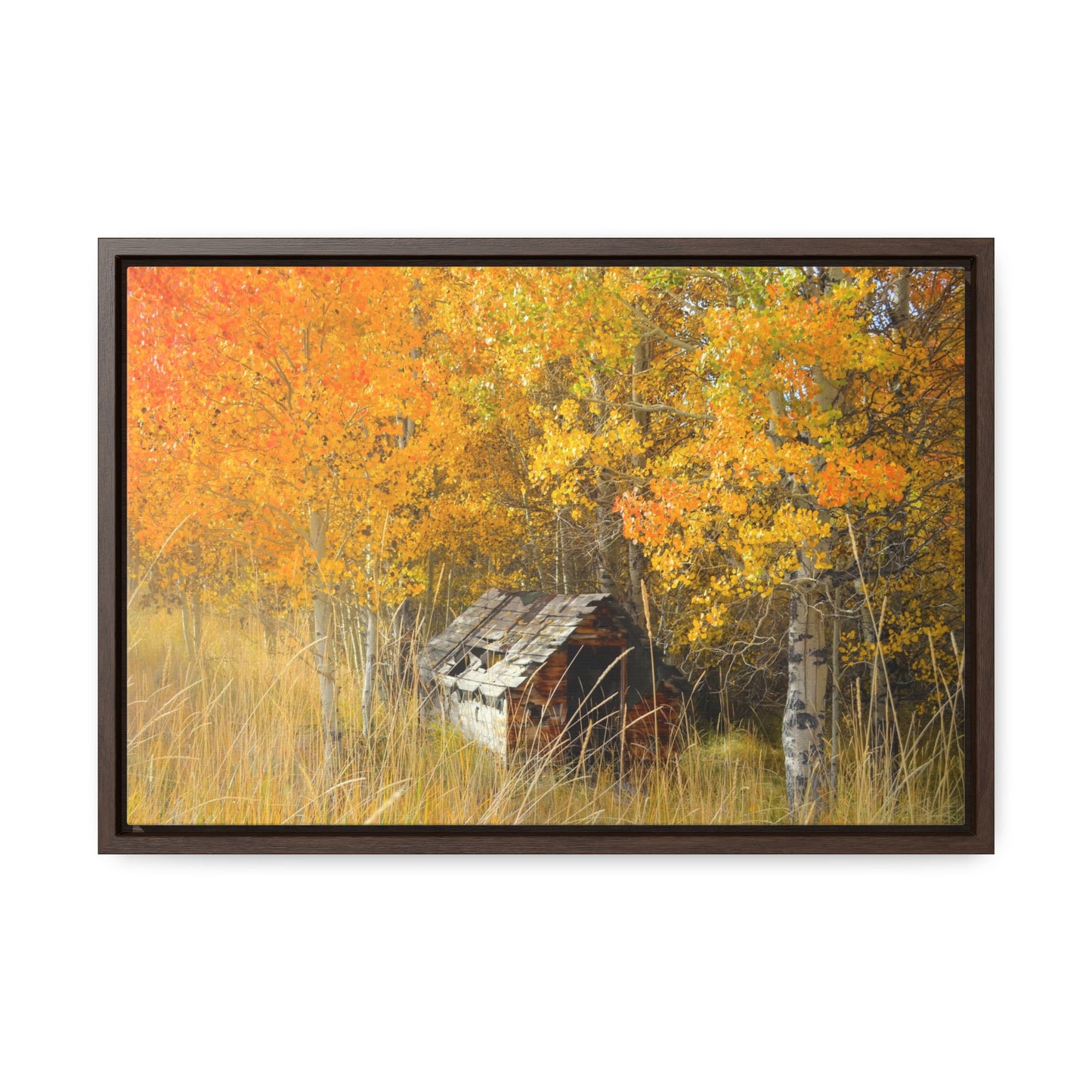 "Seasons Gone By" Autumn Colors Framed Gallery Wrap Canvas