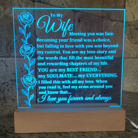 To My Wife "Meeting you was..." Acrylic Plaque