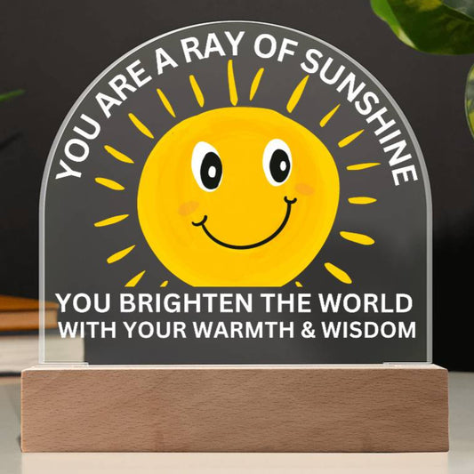 Sponsor-A-Smile Give a Smile and Donate a Smile, Acrylic Plaque with Lighted Base