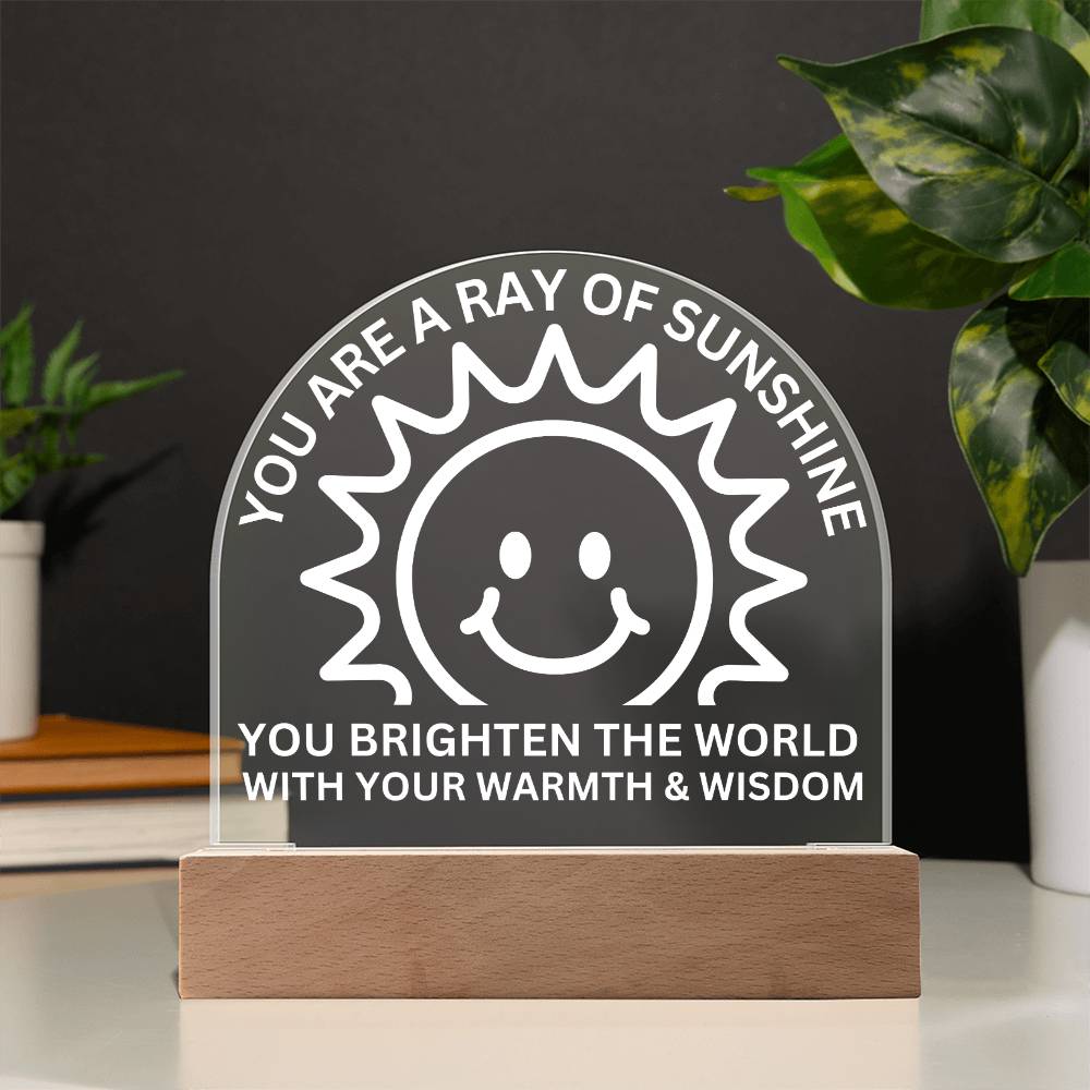 Sponsor-A-Smile Give a Smile and Donate a Smile, Acrylic Plaque with Lighted Base