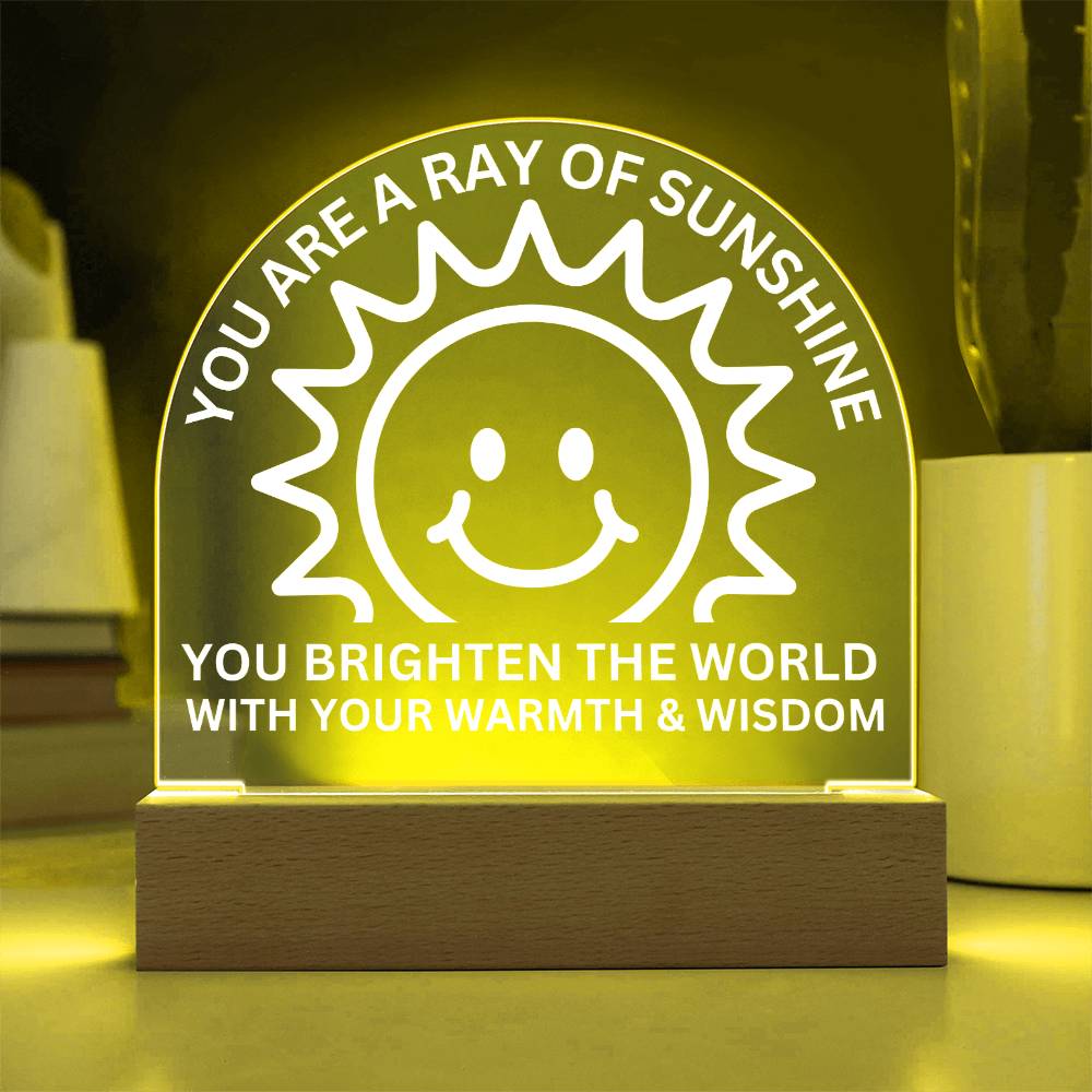 Sponsor-A-Smile Give a Smile and Donate a Smile, Acrylic Plaque with Lighted Base