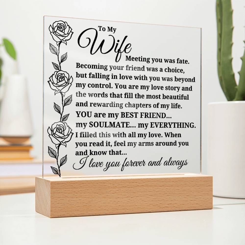 To My Wife "Meeting you was..." Acrylic Plaque