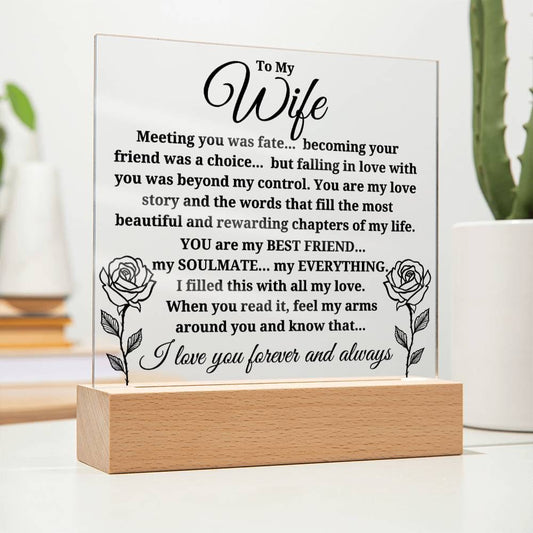 To My Wife "Meeting you was..." Acrylic Plaque