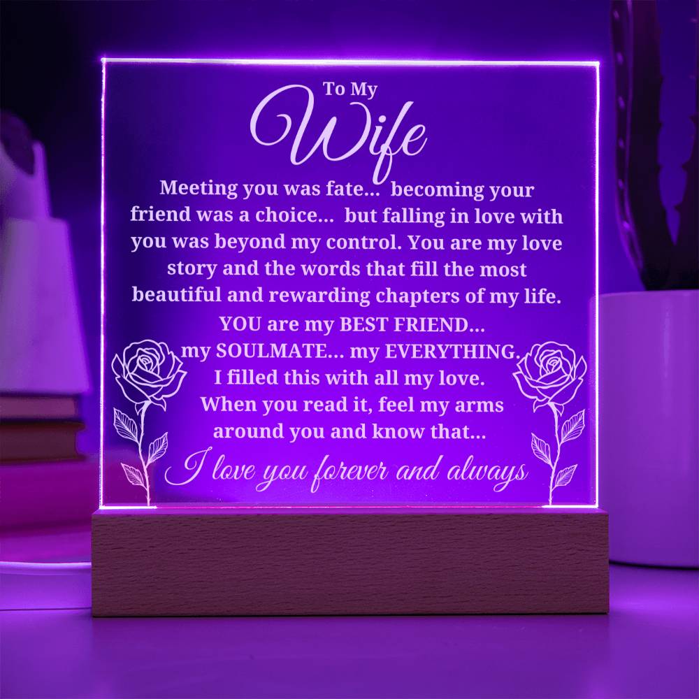 To My Wife "Meeting you was..." Acrylic Plaque With Lighted Base