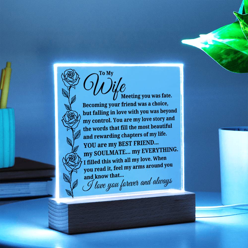 To My Wife "Meeting you was..." Acrylic Plaque With Lighted Base