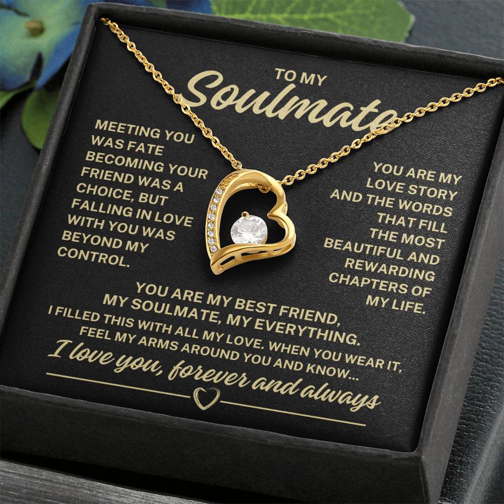 To My Soulmate "Meeting you was fate..." Forever Love Necklace