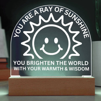Sponsor-A-Smile Give a Smile and Donate a Smile, Acrylic Plaque with Lighted Base