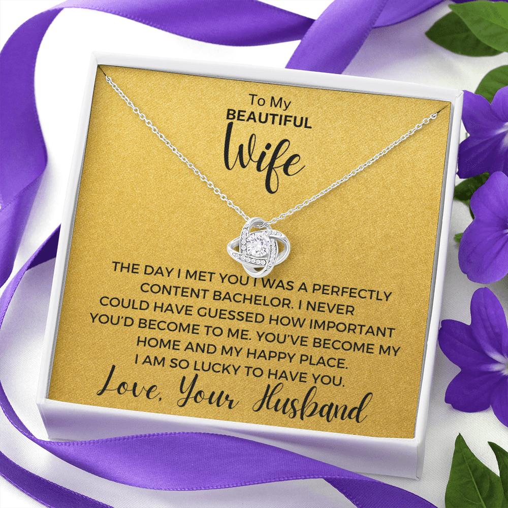 Gift to Wife - The Day I Met You... Love Knot 14K White Gold Over Stainless Steel Necklace